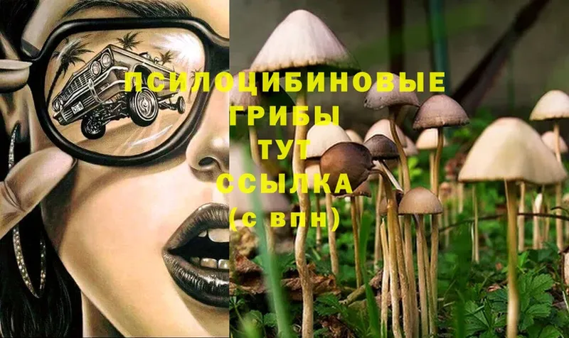 Галлюциногенные грибы MAGIC MUSHROOMS  Рубцовск 